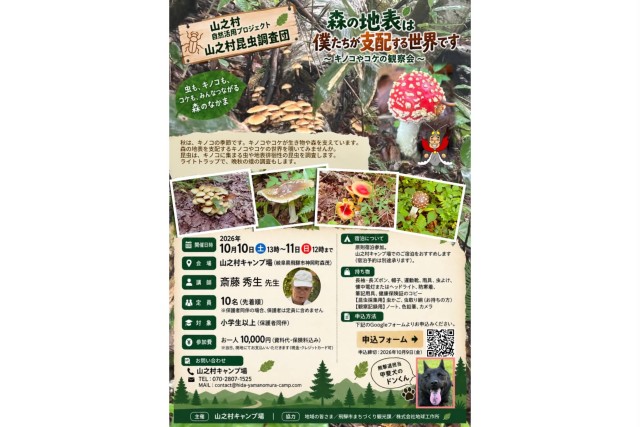 昆虫調査団ー10月ーキノコやコケの観察会